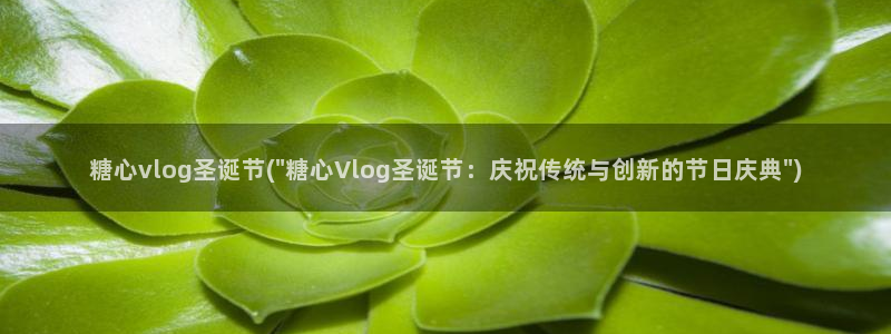 糖心volg是什么