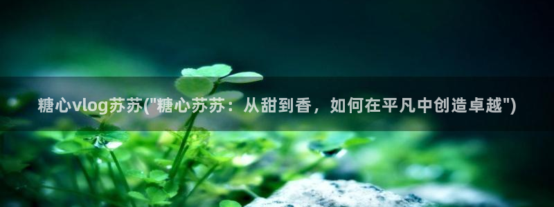 糖心vlgo什么时候创办的