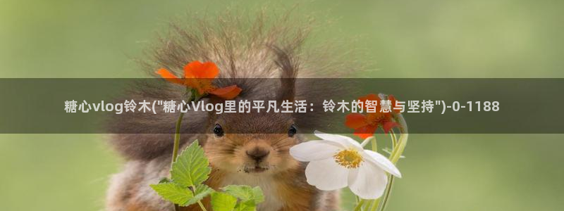 糖心vlgo免费进入