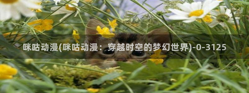 火影忍者动漫
