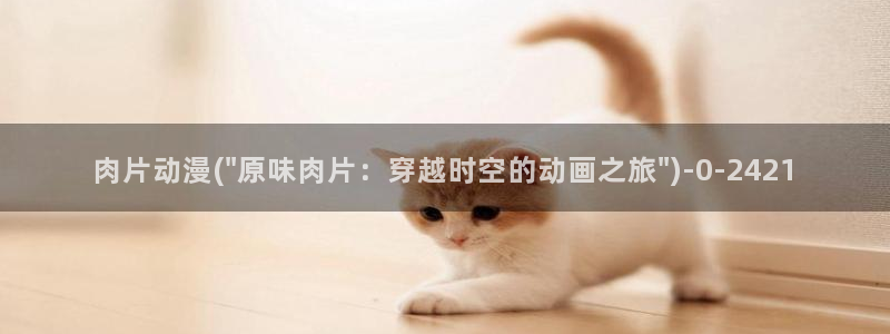 动漫在线观看