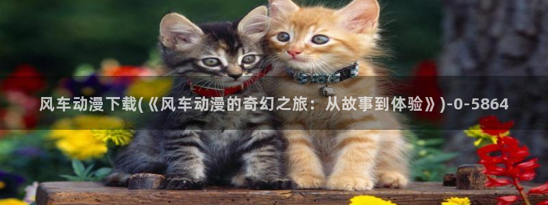 斗罗大陆动漫